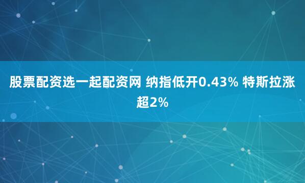 股票配资选一起配资网 纳指低开0.43% 特斯拉涨超2%