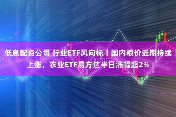 低息配资公司 行业ETF风向标丨国内粮价近期持续上涨，农业ETF易方达半日涨幅超2%