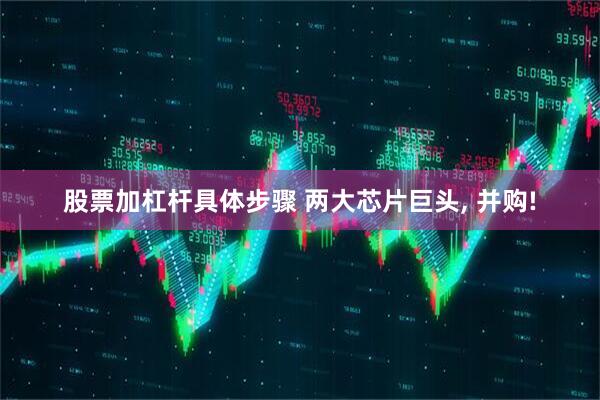 股票加杠杆具体步骤 两大芯片巨头, 并购!