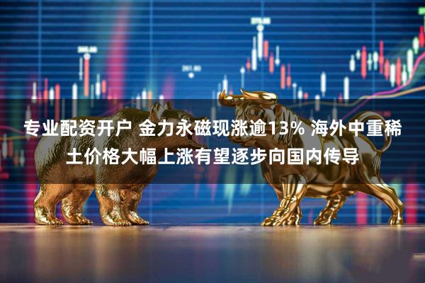 专业配资开户 金力永磁现涨逾13% 海外中重稀土价格大幅上涨有望逐步向国内传导